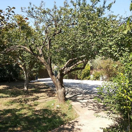 Rastoni Guest House Skopelos ภายนอก รูปภาพ