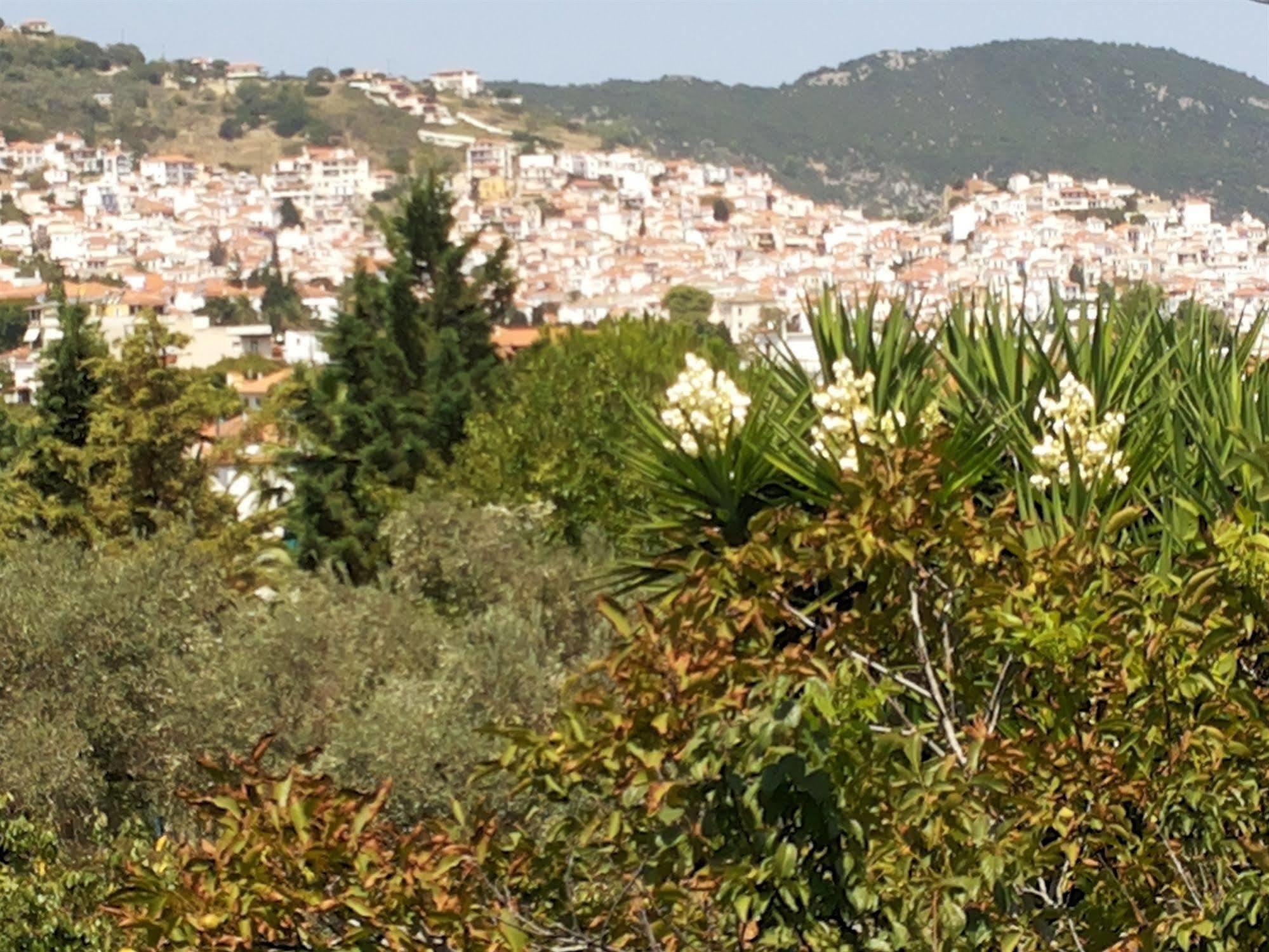 Rastoni Guest House Skopelos ภายนอก รูปภาพ