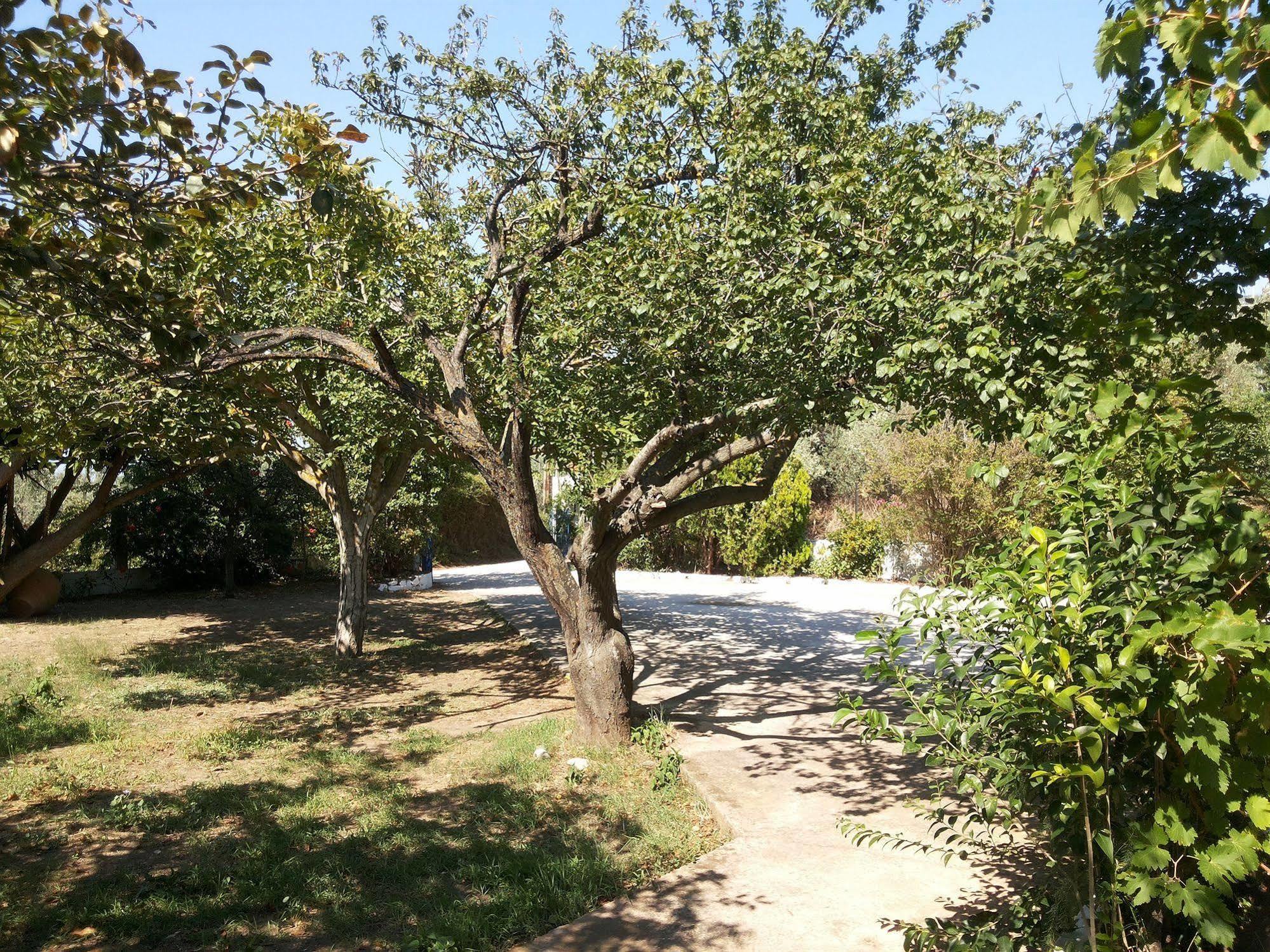 Rastoni Guest House Skopelos ภายนอก รูปภาพ